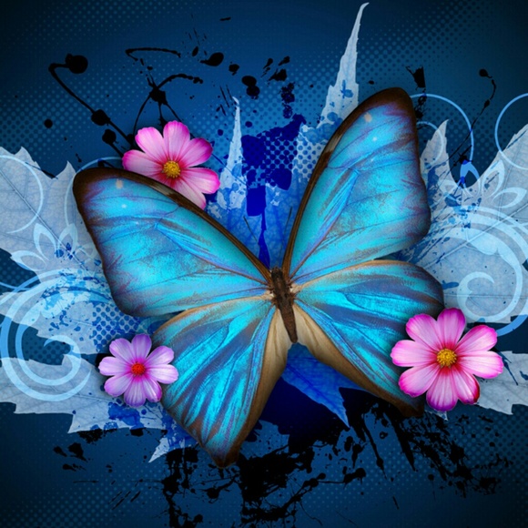 🌸QUESTIONS?~ ASK THEM HERE~🌸 - Picture 8 of 8